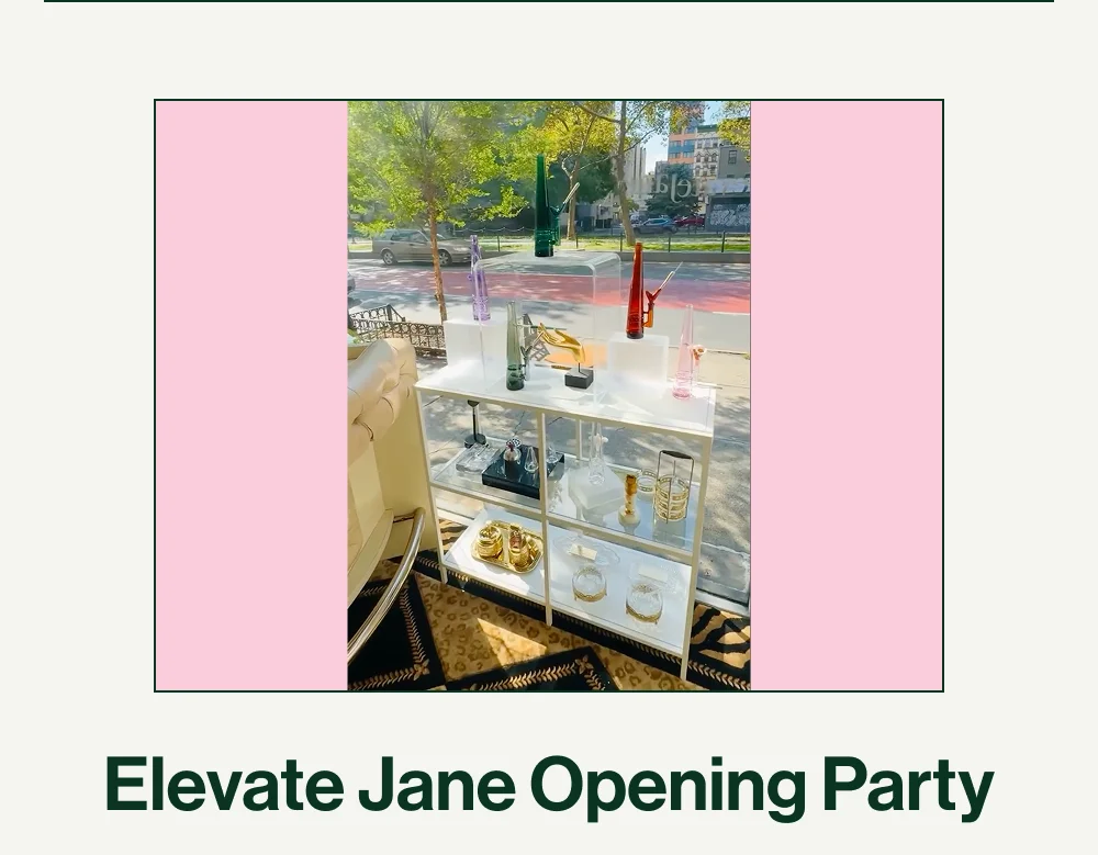 Elevate Jane Opening Party