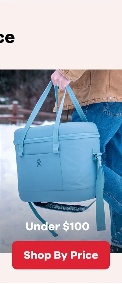 Under $100 | Shop By Price