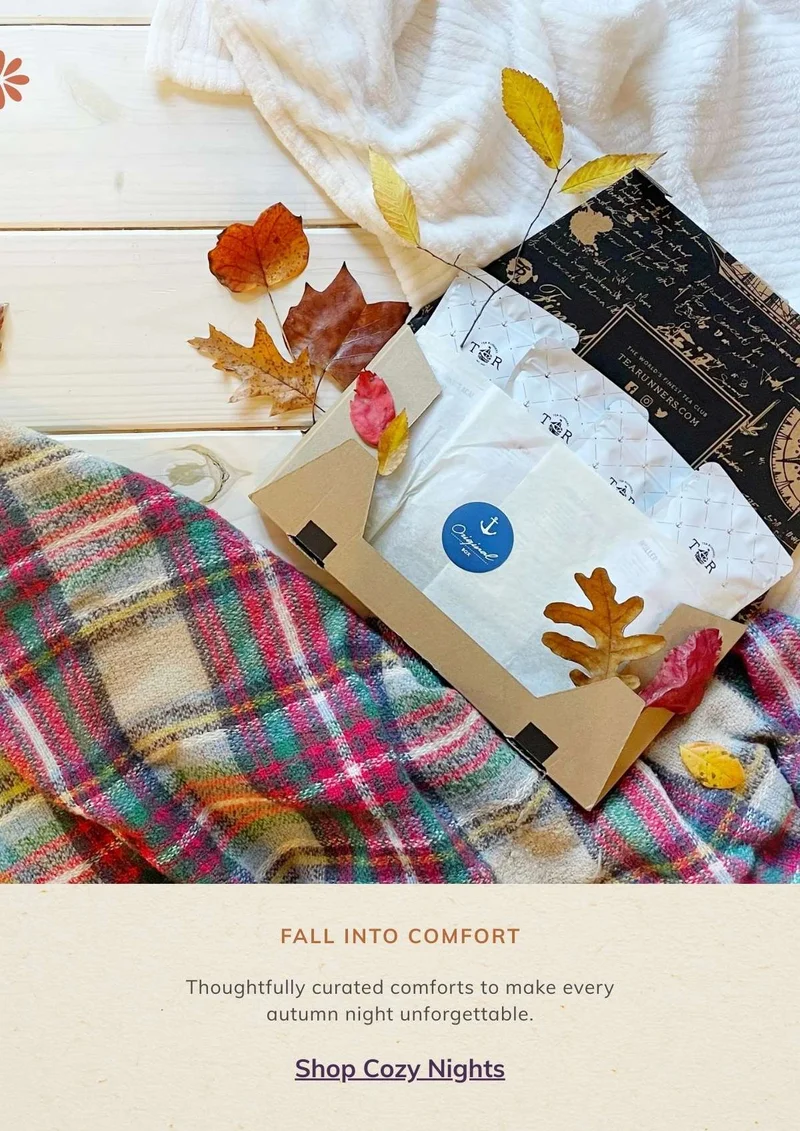 Fall Into Comfort: The Cozy Nights Collection
