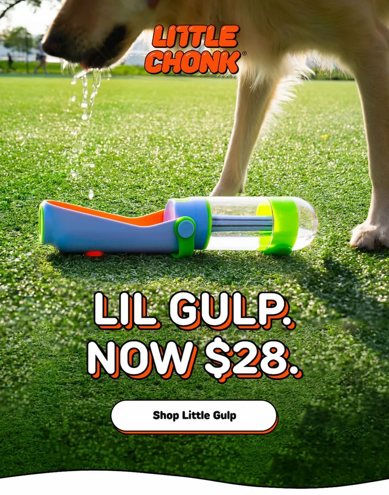 LIL GULP. NOW $28.