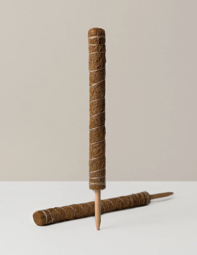 Image of Coco Coir Pole