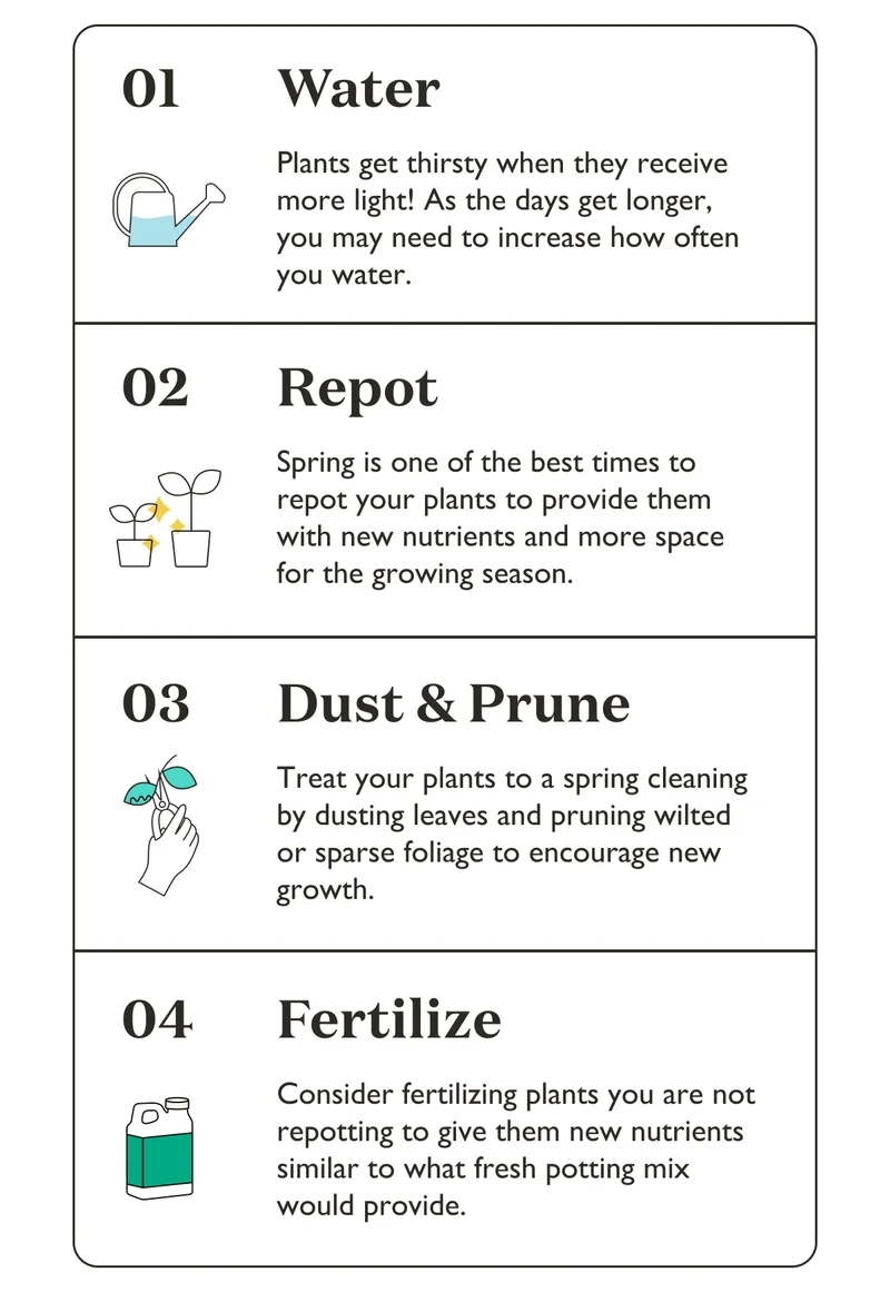 Water more often, repot overgrown plants, dust leaves and prune sparse foliage, fertilize!