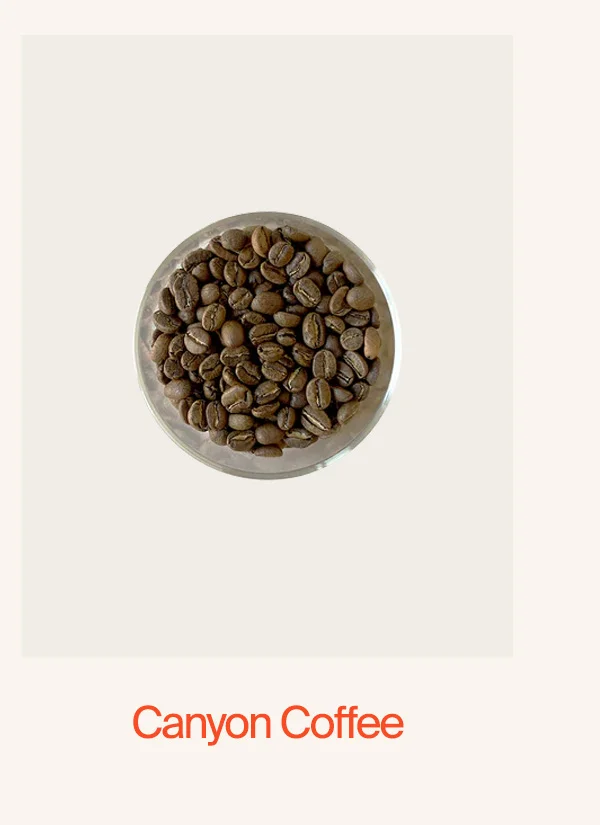 Canyon Coffee