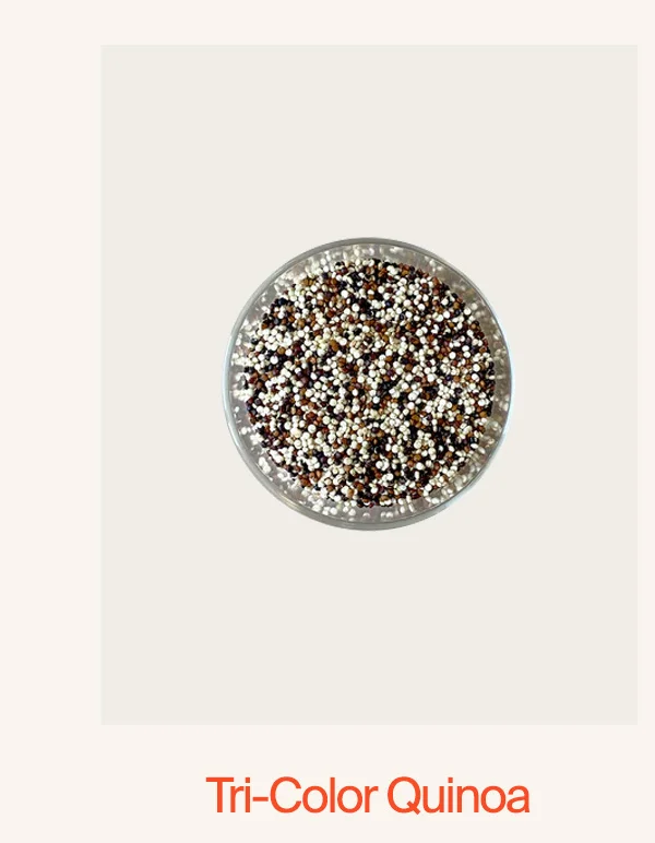 Tri-Color Quinoa