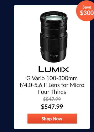 Panasonic LUMIX G Vario 100-300mm f/4.0-5.6 II Lens for Micro Four Thirds