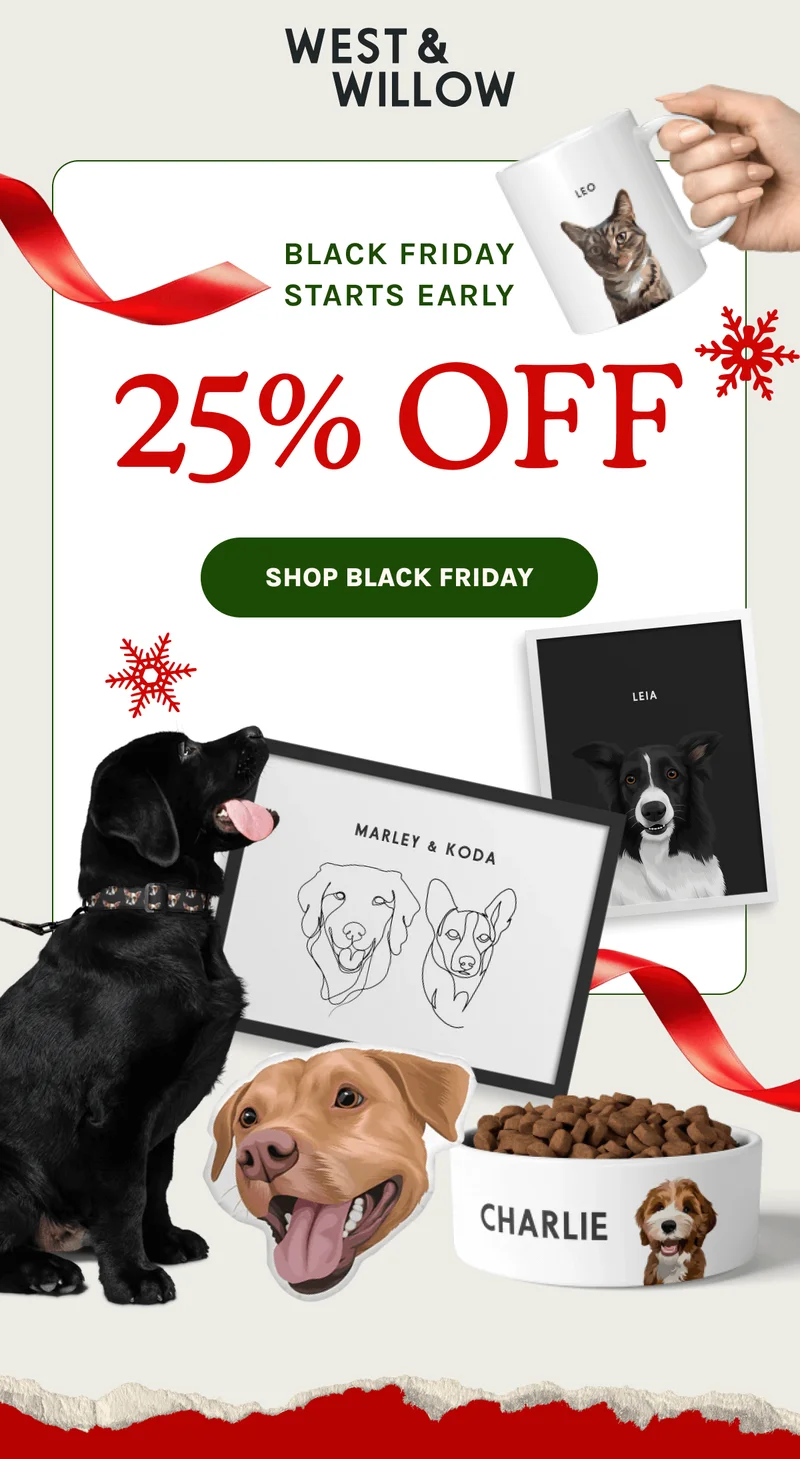 Shop Black Friday