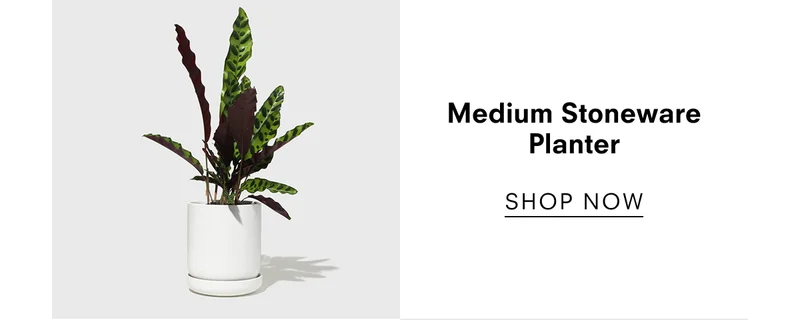 Medium Stoneware Planter