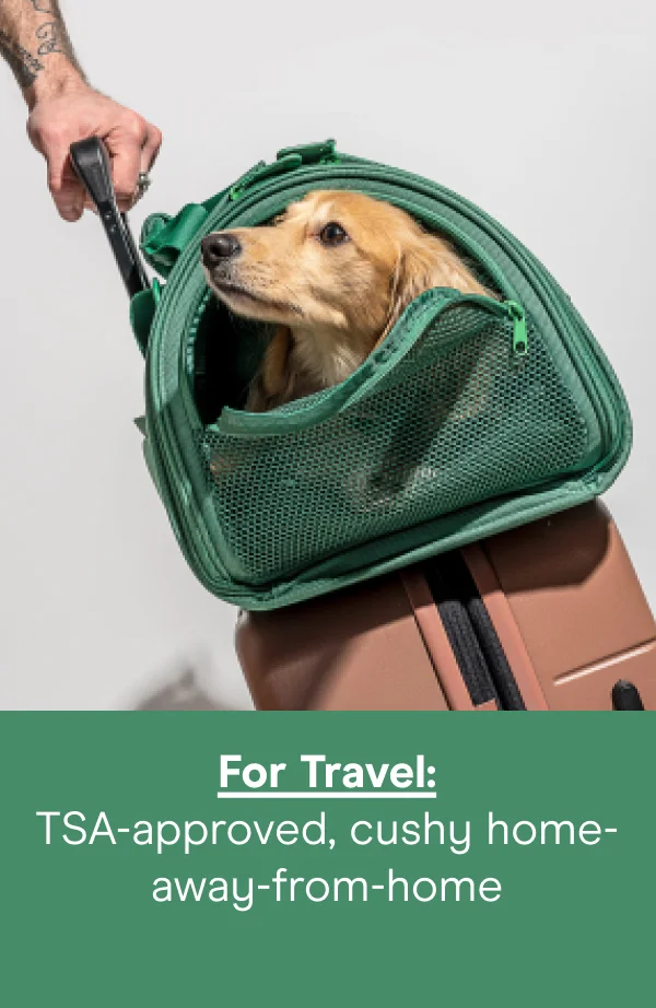 For Travel: TSA-approved, cushy home-away-from-home