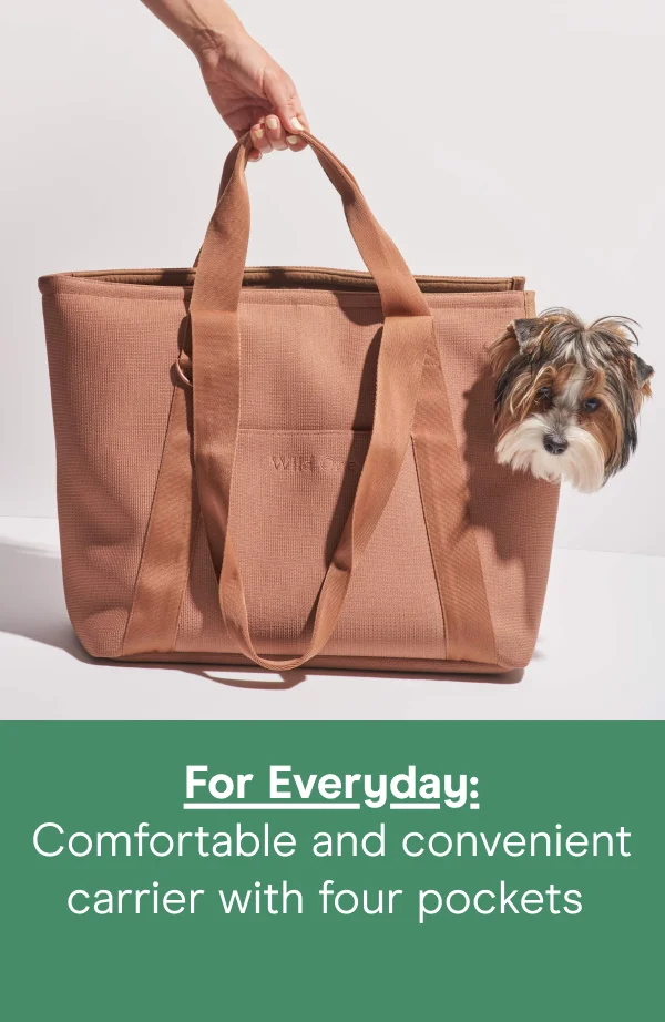 For Everyday: Comfortable and convenient carrier with four pockets