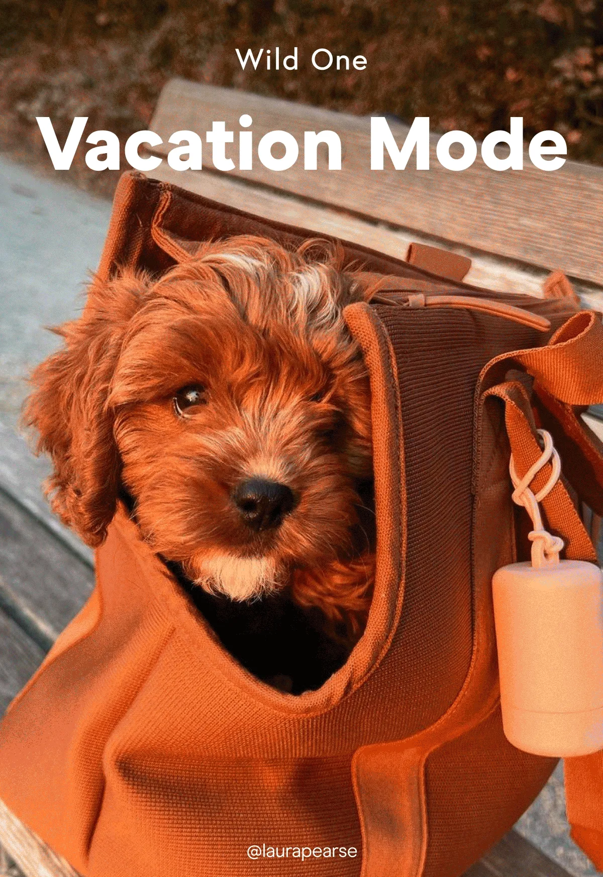 Vacation Mode