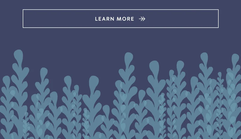 Learn more