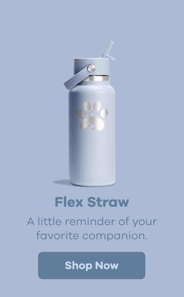Flex Straw. A little reminder of your favorite companion. | Shop Now