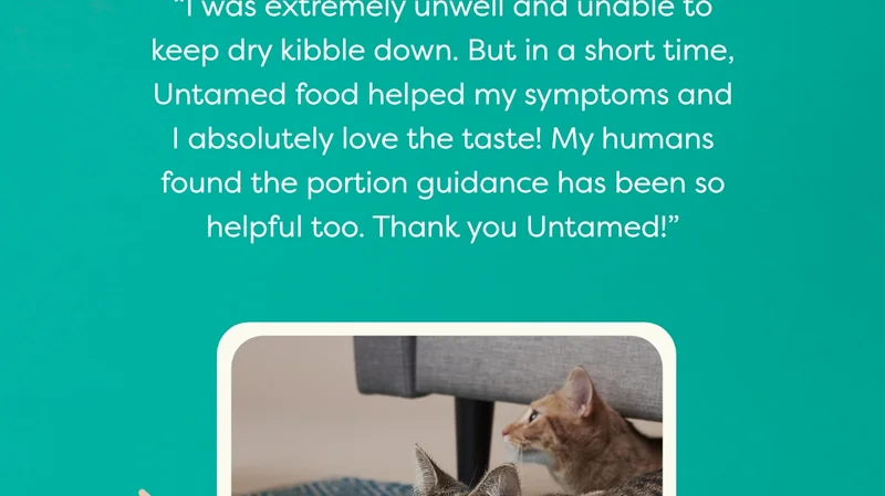 Niki the cat