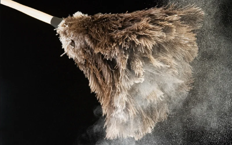 Dust coming out of a feather duster.