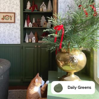 Daily Greens