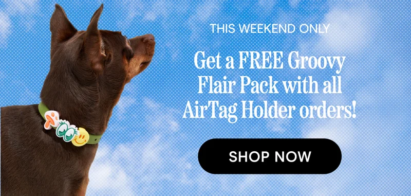 THIS WEEKEND ONLY Get a FREE Groovy Flair Pack with all AirTag Holder orders! Shop Now