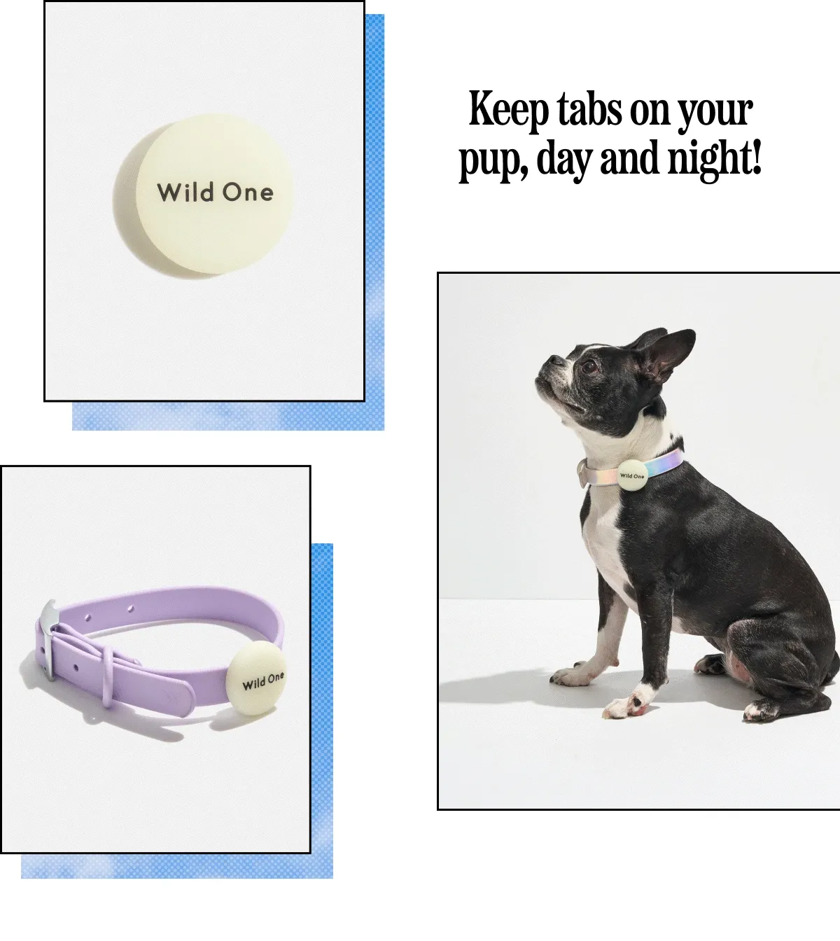 Keep tabs on your pup, day and night!