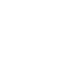 Alert Icon