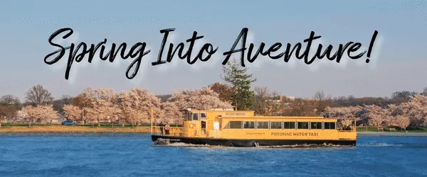 Spring Into Adventure!*