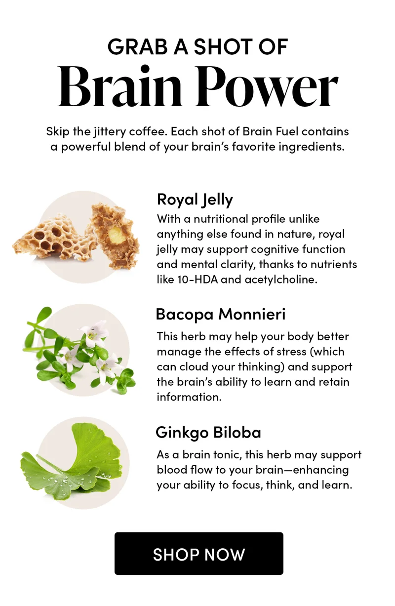 Grab a Shot of Brain Power            Skip the jittery coffee. Each shot of Brain Fuel contains a powerful blend of your brain’s favorite ingredients.     🐝 Royal Jelly          With a nutritional profile unlike anything else found in nature, royal jelly may support cognitive function and mental clarity, thanks to nutrients like 10-HDA and acetylcholine.   🌼 Bacopa Monnieri     This herb may help your body better manage the effects of stress (which can cloud your thinking) and support the brain’s ability to learn and retain information.    🌿 Ginkgo Biloba  As a brain tonic, this herb may support blood flow to your brain—enhancing your ability to focus, think, and learn.