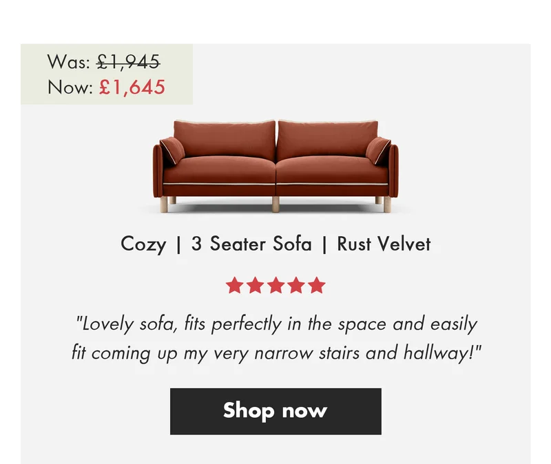 Cozy - 3 Seater Sofa - Rust Velvet