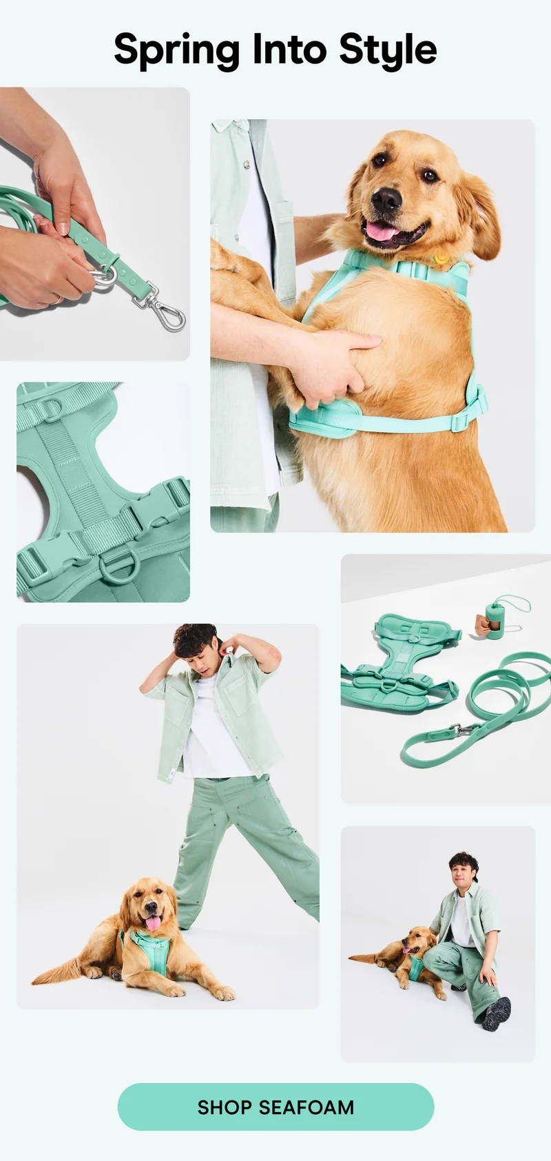 Shop Seafoam