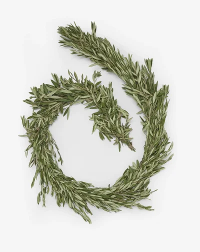 Shop Fresh Handmade Olive Branch Garland