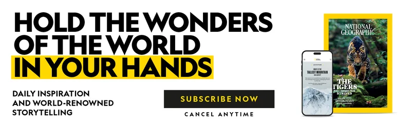 Hold the wonders of the world in your hands: daily inspiration and world-renowned storytelling subscription advertisement with a tiger and a mountain image.