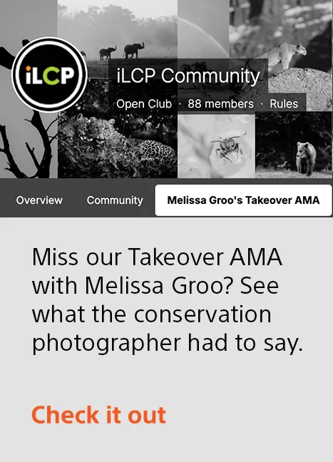 Miss our Takeover AMA with Melissa Groo? See what the conservation photographer had to say. | Check it out