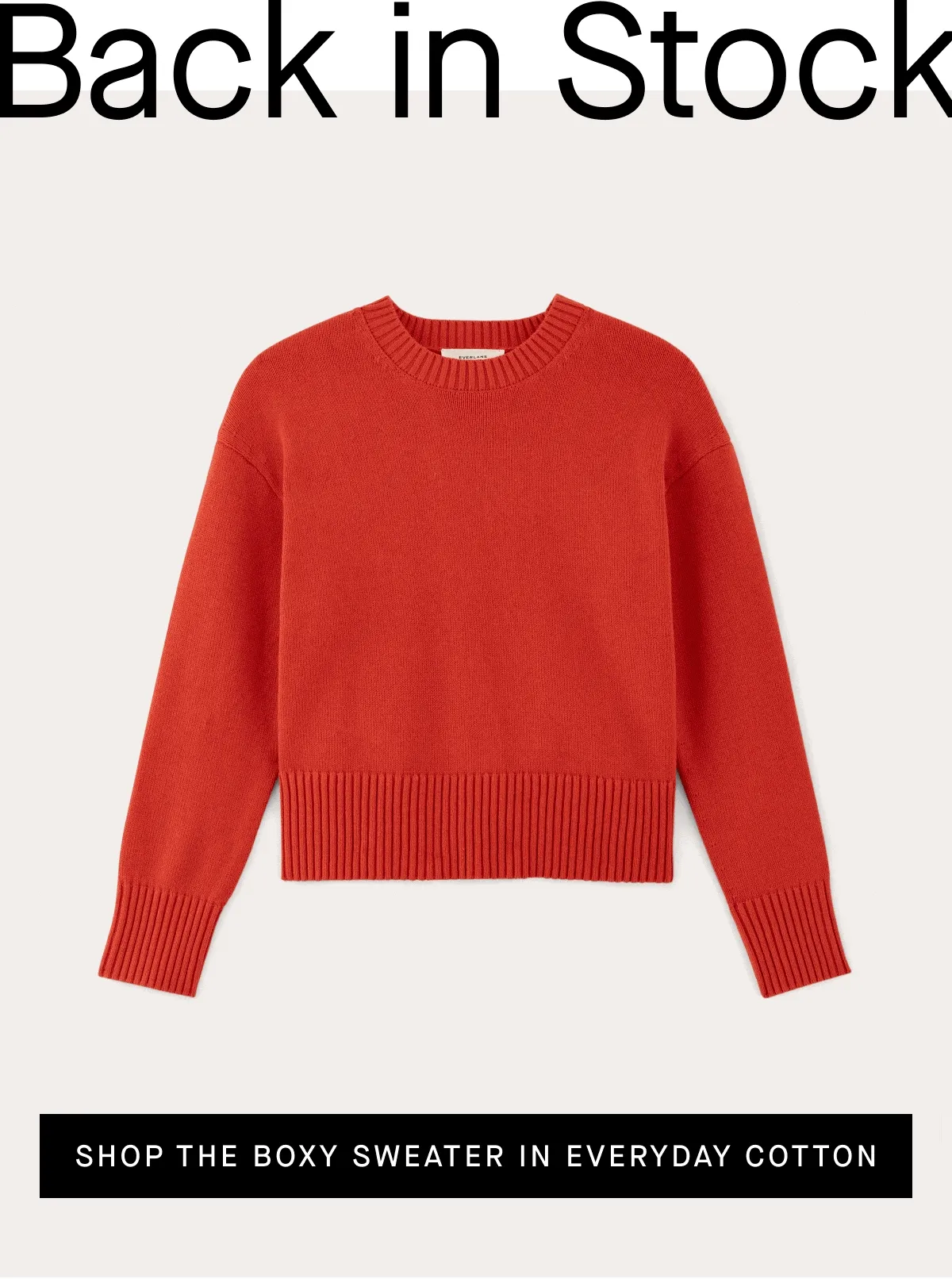 Back in Stock[Image][Shop Now]
