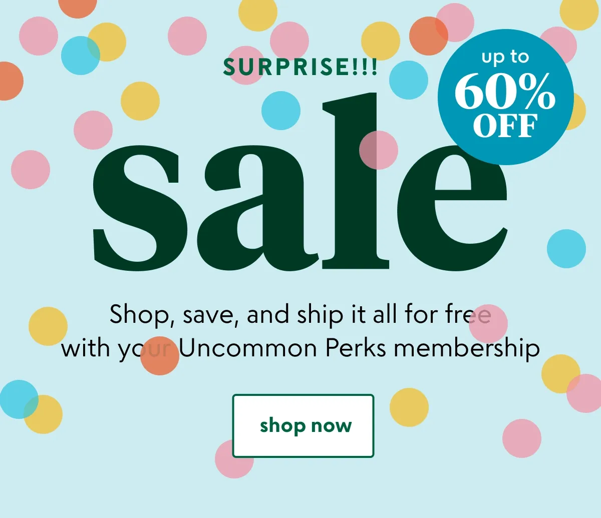 shop now
