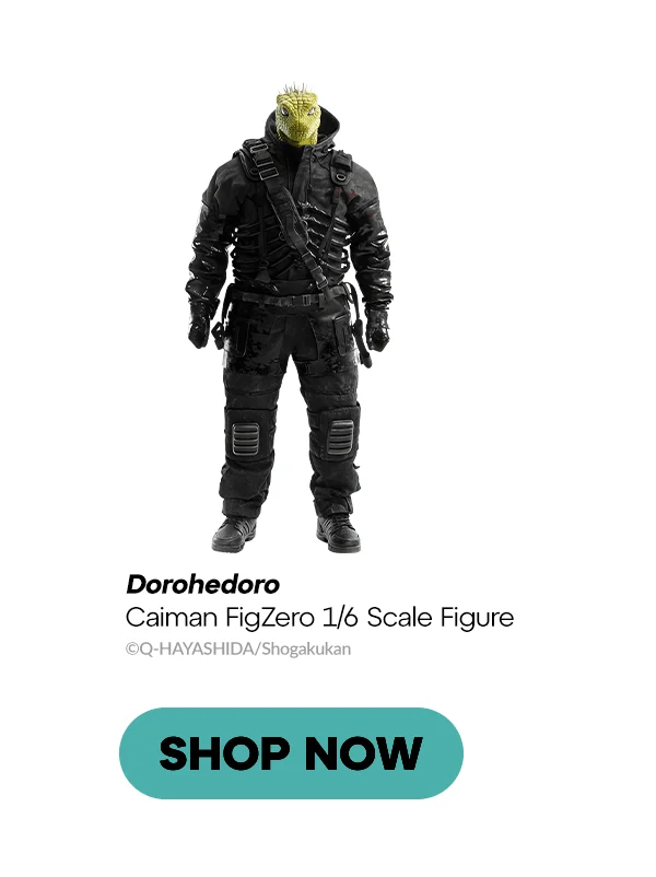 SHOP NOW SHOP NOW