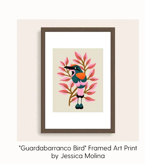 Guardabarranco Bird Framed Art Print by Jessica Molina