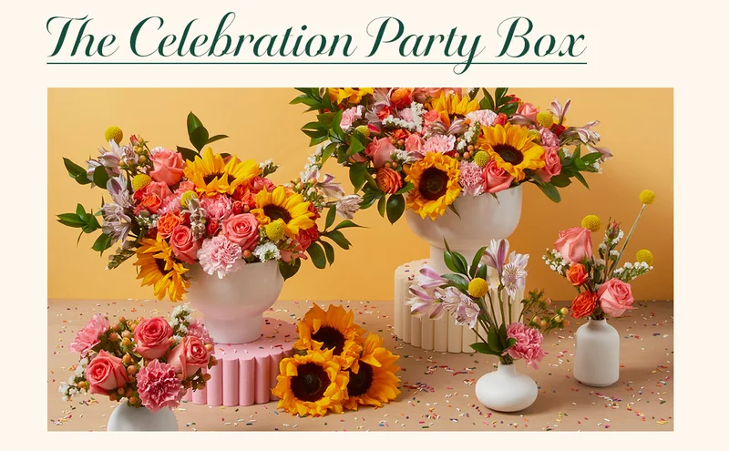 The Celebration Party Box