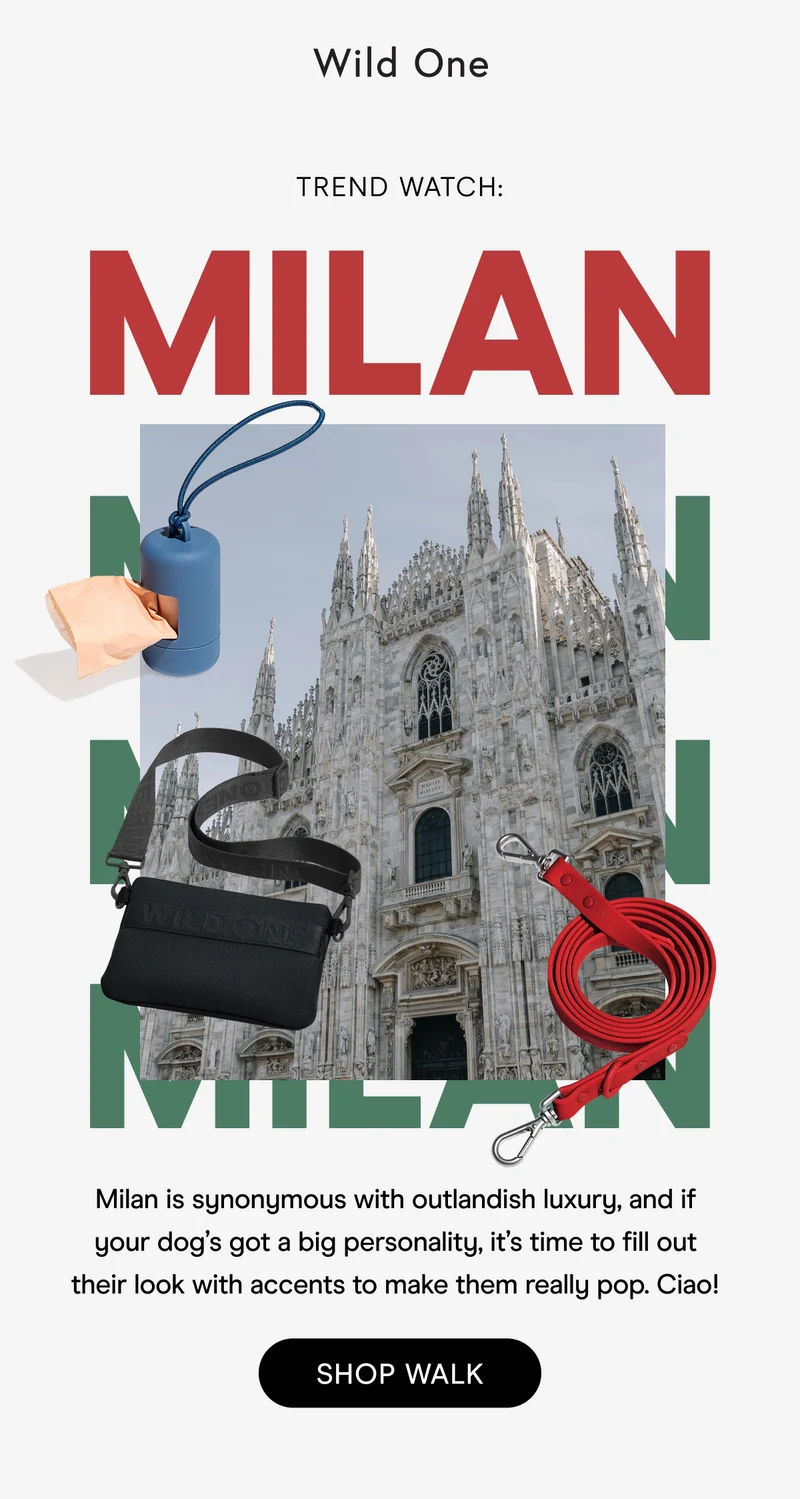 Trend Watch: Milan Fashion Week