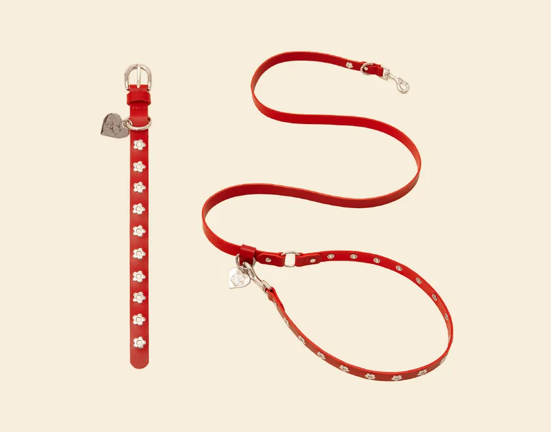 Flower Power Collar & Leash