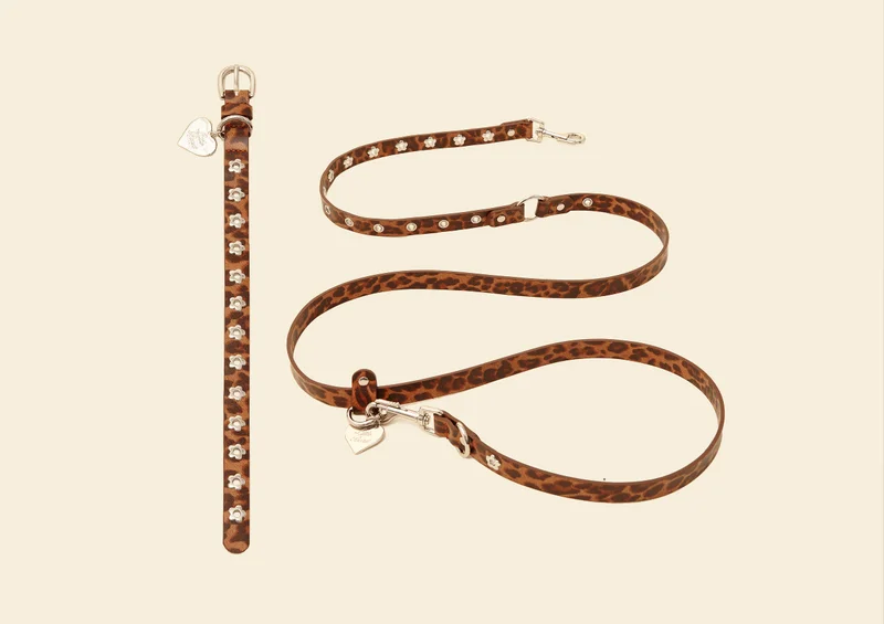 Flower Power Collar & Leash