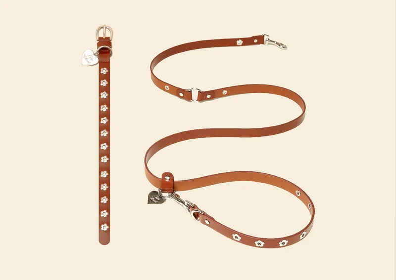 Flower Power Collar & Leash