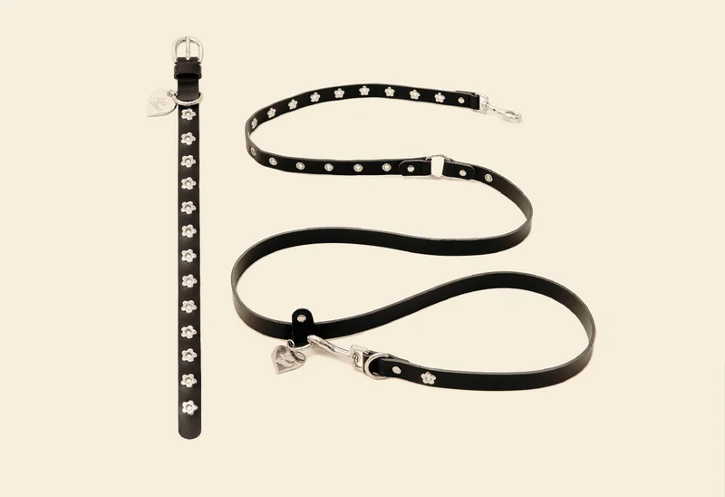 Flower Power Collar & Leash