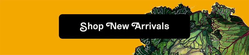 Shop New Arrivals