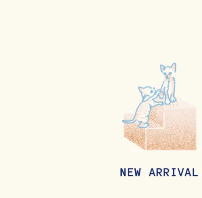 New Arrival