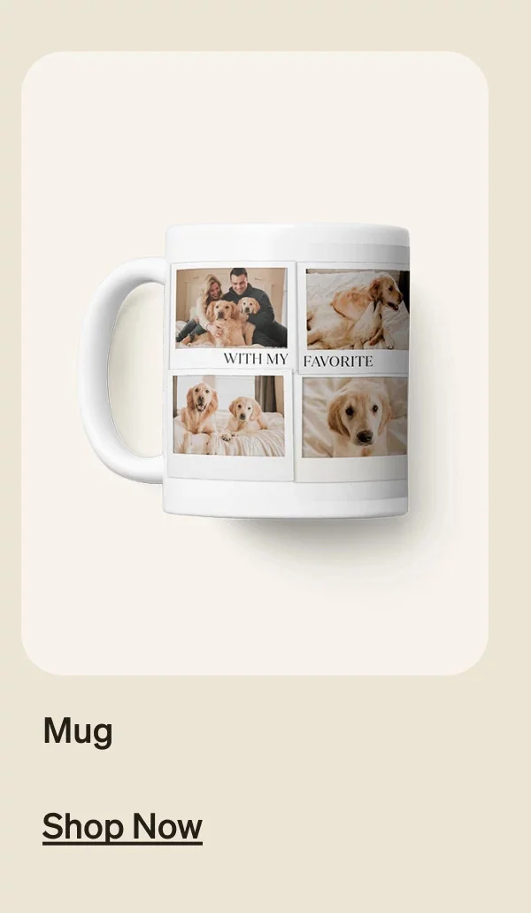 Flash Sale, 50% Off Almost Everything, Free Shipping on Cards