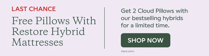 LAST CHANCE. FREE PILLOWS WITH RESTORE HYBRID MATTRESSES. Get 2 Cloud Pillows with our bestselling hybrids for a limited time. SHOP NOW