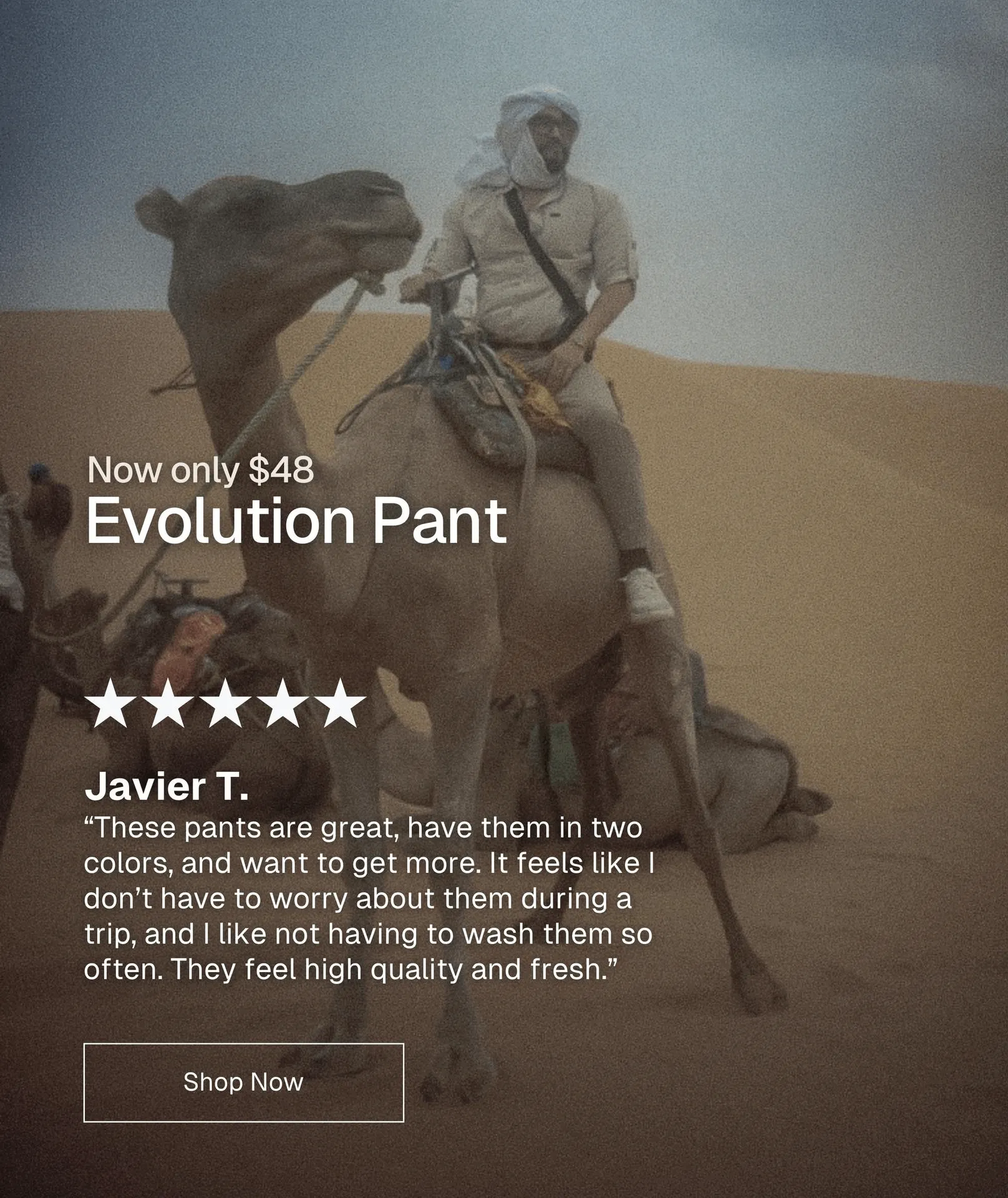 Evolution Pant