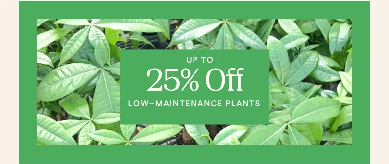 save up to 25% on low-maintenance plants