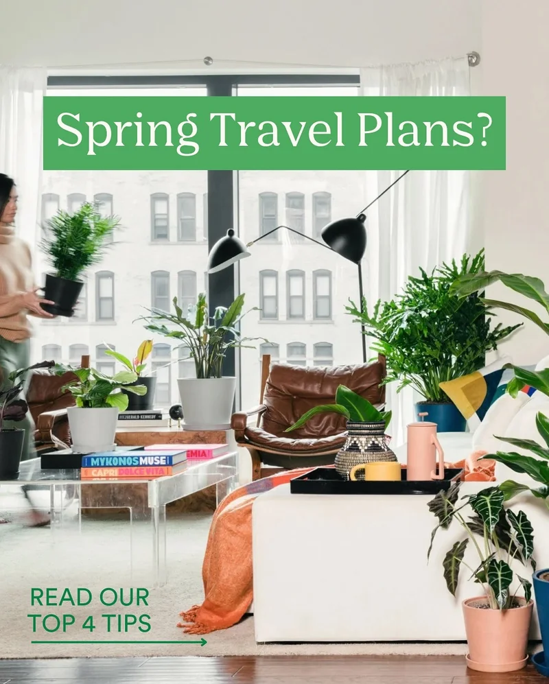 spring travel plans?