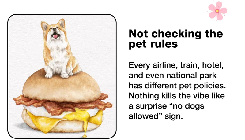 Not checking the pet rules
