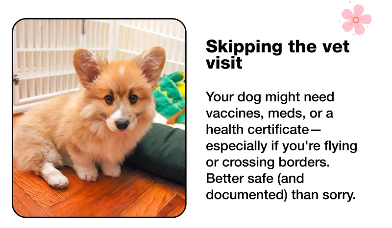 Skipping the vet visit