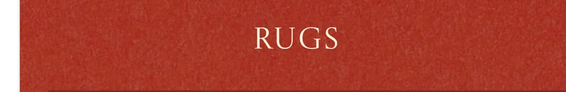 Shop Rugs