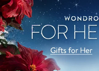 Wondrous Gifts for Her & Him. | Gifts for Her
